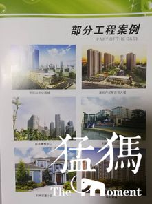 祝賀河南弘鼎建筑防水公司成為駐馬店市建筑防水協會常務會長單位