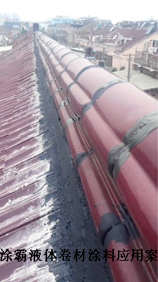 江蘇徐州液體卷材價格水池